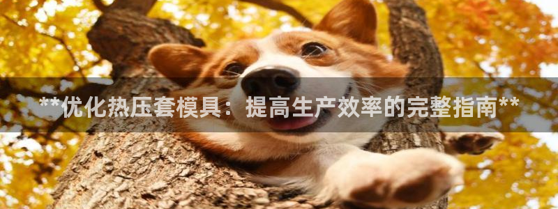 易倍申效果怎么样：**优化热压套模具：提高生产效率的完整