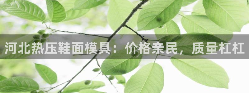 易倍单词官方网站