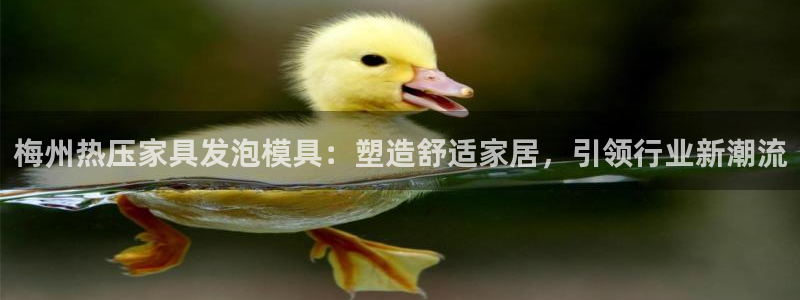 易倍申的副作用