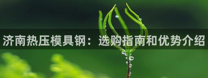 emc全站app下载：济南热压模具钢：选购指南和优势介绍