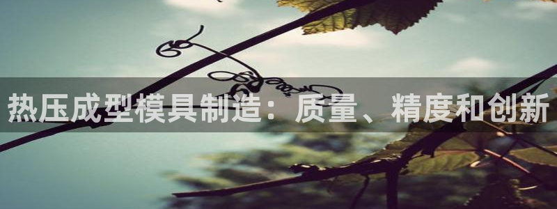 emc 倍频：热压成型模具制造：质量、精度和创新