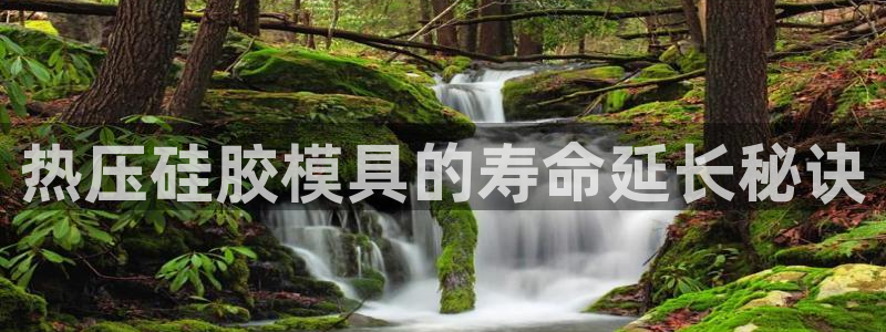 emc平台：热压硅胶模具的寿命延长秘诀