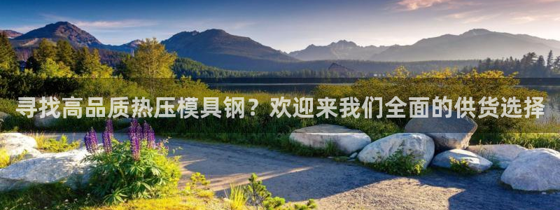 易倍单词登录网站：寻找高品质热压模具钢？欢迎来我们全面的