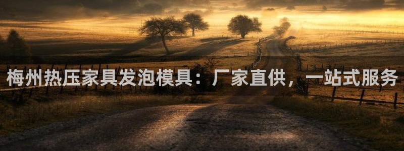 易倍EMC网址
