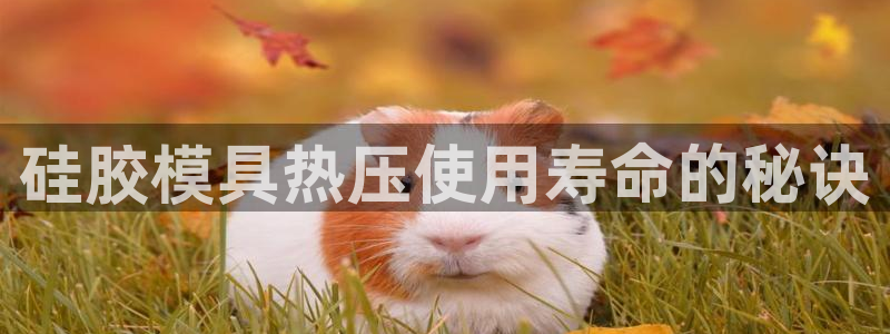 emc易倍在线登录：硅胶模具热压使用寿命的秘诀