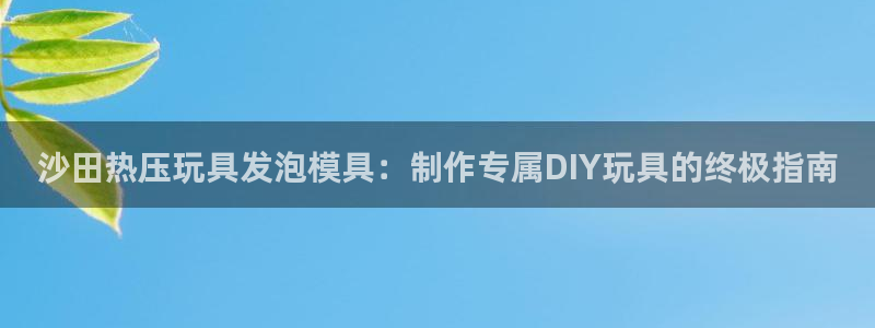 EMC易倍让身份验证：沙田热压玩具发泡模具：制作专属DI