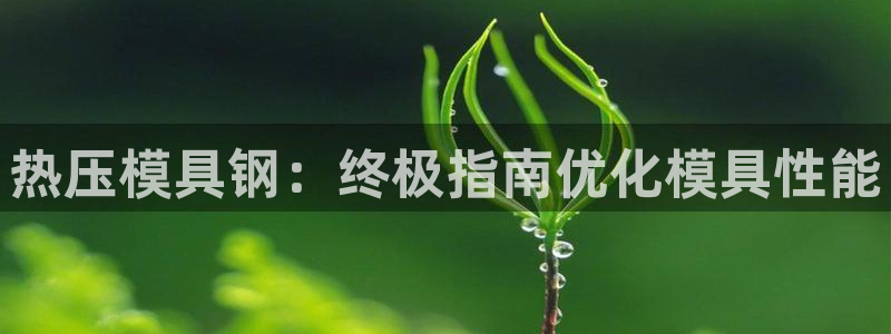 易倍申效果怎么样：热压模具钢：终极指南优化模具性能