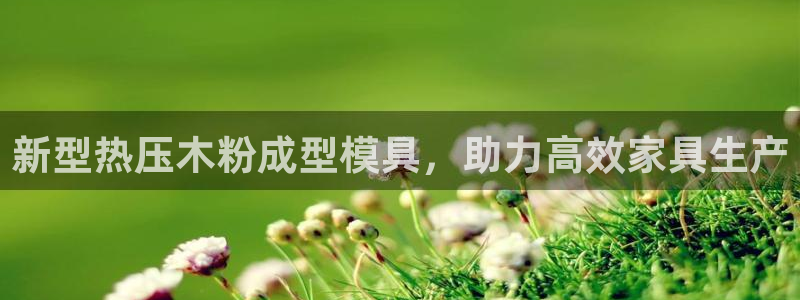 emc测试频率范围：新型热压木粉成型模具，助力高效家具生