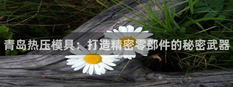 emc易倍ios官网：青岛热压模具：打造精密零部件的秘密