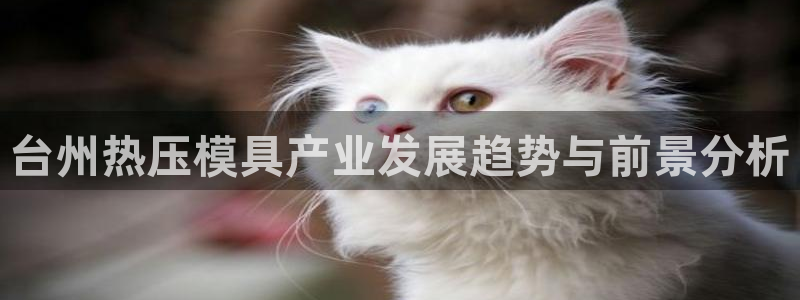 易倍单词登录网站：台州热压模具产业发展趋势与前景分析