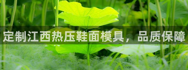 emc易倍怎么样