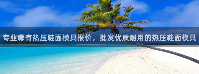 易倍申能长期吃吗：专业哪有热压鞋面模具报价，批发优质耐用