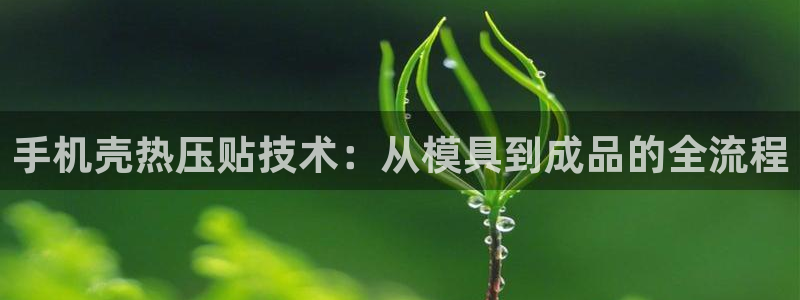 易倍达科技有限公司：手机壳热压贴技术：从模具到成品的全流