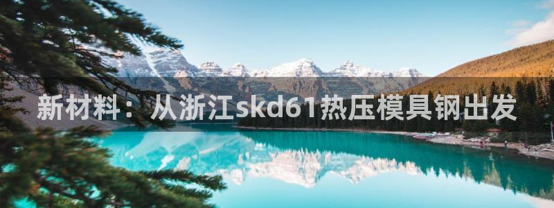 emc登录网站：新材料：从浙江skd61热压模具钢出发