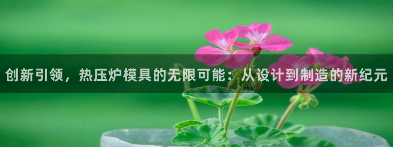 易倍下载手机版：创新引领，热压炉模具的无限可能：从设计到