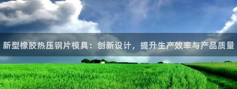 易倍纤能减肥吗：新型橡胶热压钢片模具：创新设计，提升生产