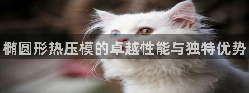 易倍企业管理软件：椭圆形热压模的卓越性能与独特优势