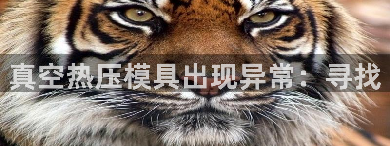 易倍emc网址：真空热压模具出现异常：寻找