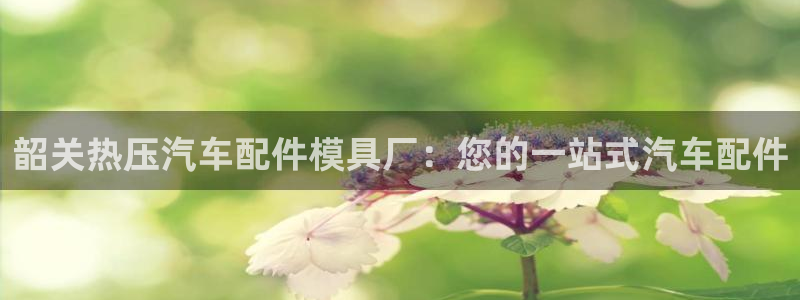 易倍申的价格：韶关热压汽车配件模具厂：您的一站式汽车配件