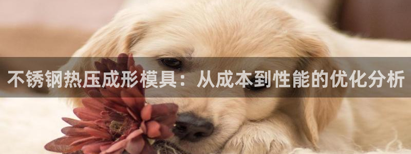 易倍单词app：不锈钢热压成形模具：从成本到性能的优化分