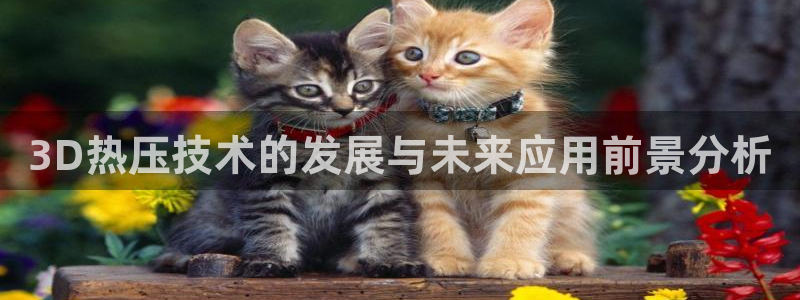 emc易倍官方平：3D热压技术的发展与未来应用前景分析