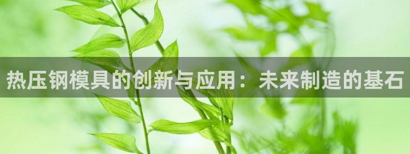 emc易倍老板：热压钢模具的创新与应用：未来制造的基石