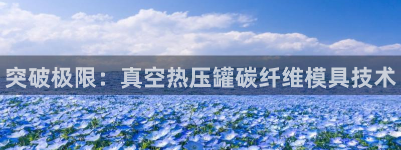 易倍网络技术有限公司是干嘛的