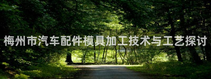 emc易倍的服务优势：梅州市汽车配件模具加工技术与工艺探