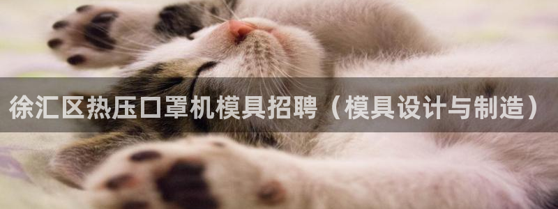易倍网络技术有限公司：徐汇区热压口罩机模具招聘（模具设计