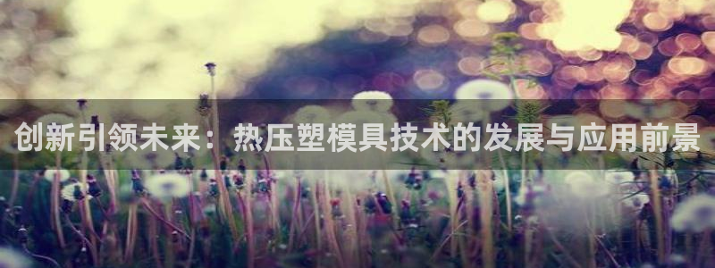 易倍申多少钱：创新引领未来：热压塑模具技术的发展与应用前