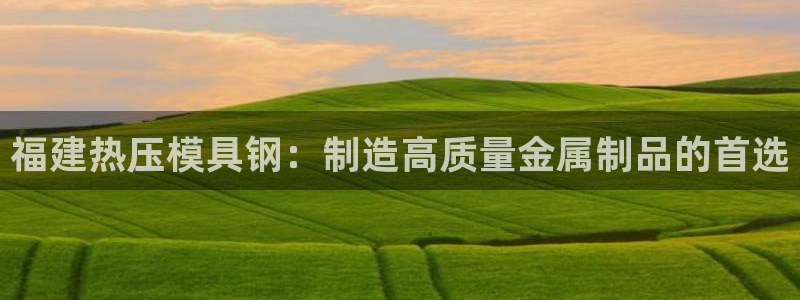 emc备份软件：福建热压模具钢：制造高质量金属制品的首选
