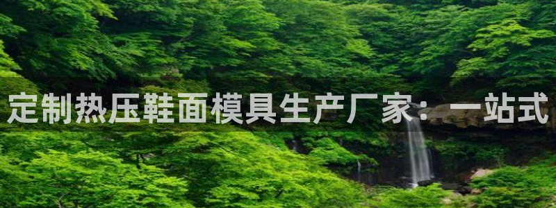 四川易倍易企业管理有限公司：定制热压鞋面模具生产厂家：一